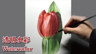 踊るチューリップ　水彩画 踊るチューリップ 水彩画 mqdefault.jpg
