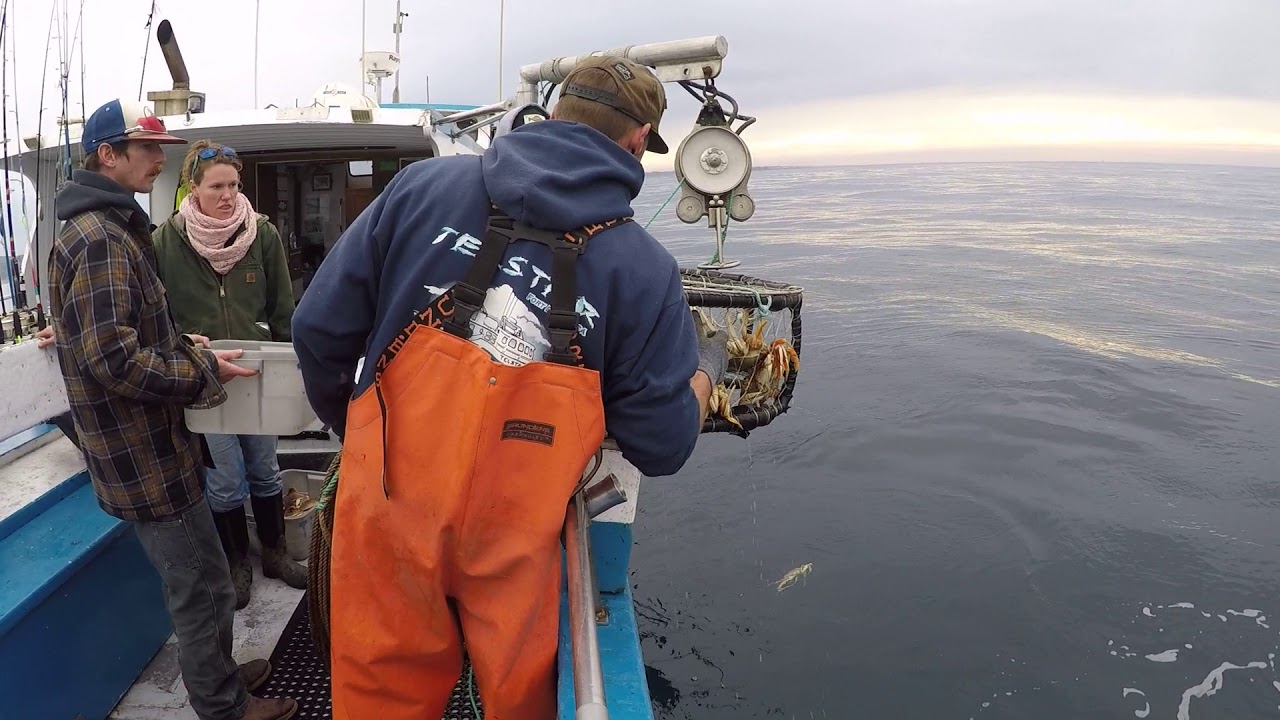Crab fishing Fort Bragg CA YouTube