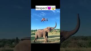 Respect videos #shorts #trynottolaugh #funniest #2 😂 | Jan 26 video #RSMSSB || Republic Day in hindi