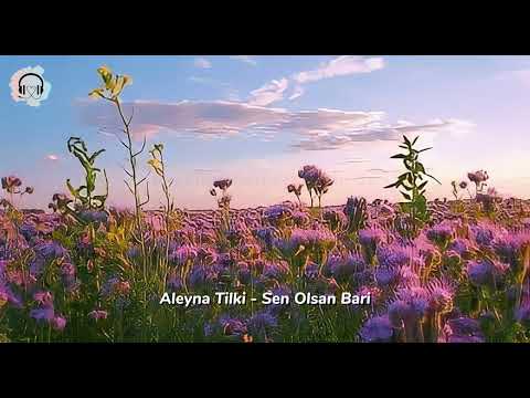 Aleyna Tilki - Sen Olsan Bari Lyrics/Şarkı Sözleri