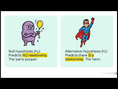 Stop Guessing: How to Write a Hypothesis (In 5 Minutes)