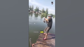 Màn So Kè Nảy Lửa Giữa Cần Thủ Và Cá Tra Dầu!