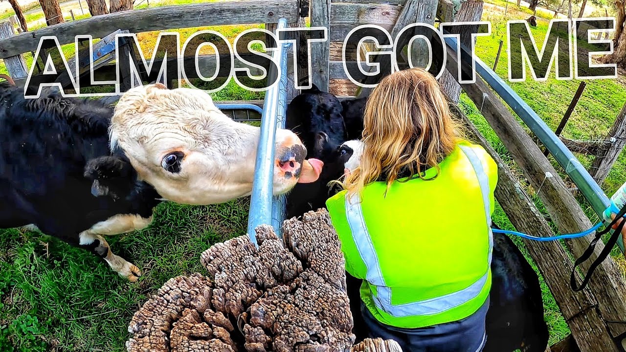 She Tried To Kiss Me! [EP.32] YouTube