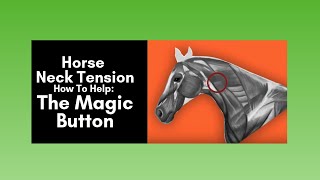 Horse Neck Tension: Help with the Magic Button (2020)