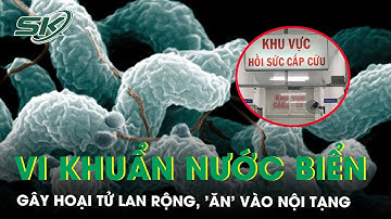Nhiễm vi khuẩn từ nước biển, người đàn ông bị hoại tử lần rộng 