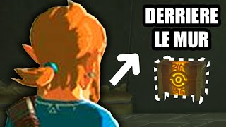 Réussir Ce Glitch Ma Pris 1 Heure Dans Zelda Botw