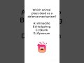 Quiztime #quiz #braintest #gkquiz #quiztime #gkquiz #shorts #youtubeshorts #trivia a