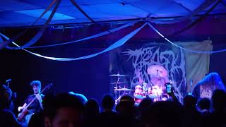 TRASH PANDA - VALLEY OF JUNK (Drummer's Last Show) [Live, The Conduit, Orlando, 10/04/24, 4K, 60FPS]
