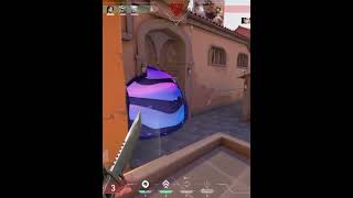 Lets fly #valorant #valorantclips #valorantfunny