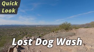 Quick Look: Lost Dog Wash Trail Hike - Scottsdale, Arizona