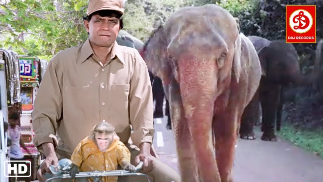 Mithun (HD)- New Blockbuster Full Hindi Bollywood Film, Poonam Love Story | | Main Aur Mera Haathi