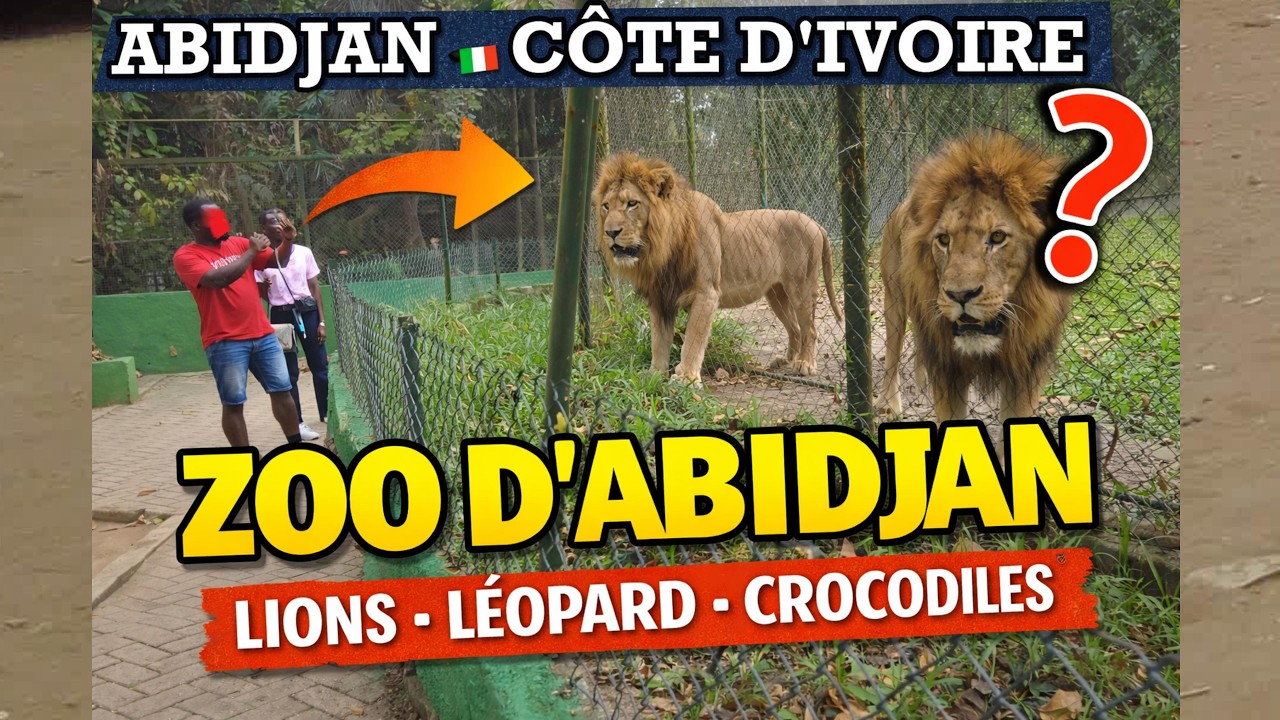 ABIDJAN - Entre ADJAMÉ, ABOBO - Au Zoo d'Abidjan : Lions, Léopards, crocodiles...PARTIE 1 -Mars 2025