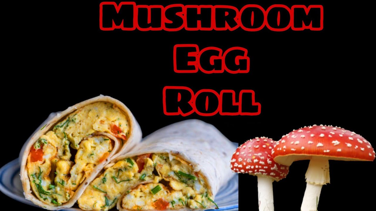 Mushroom Egg wrap || Mushroom Egg Roll || Mushroom Recipe || Egg Recipe || Egg Mushroom || Recipes