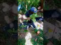 Daktari Wa Miti Ni Dawa Part1 Daktari Wa Miti Ni Dawa Part1