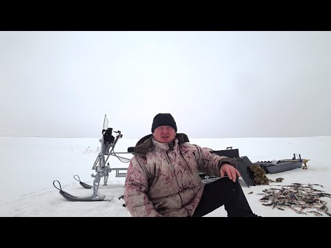 Клев на оке сегодня
