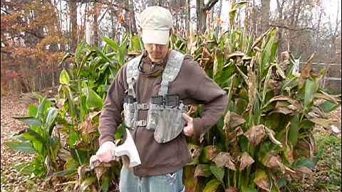 iMamba Tomahawk Sheath