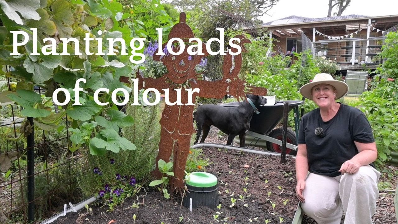 Садовые клумбы, ПОЛНЫЕ цветов | Надеюсь, это принесет свои плоды