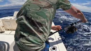 Spinning tackle gets destroyed in Tenerife. Giant Bluefin Tuna