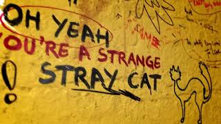 Rolling Stones - Stray Cat Blues | Karaoke Fugitive