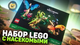 Насекомые в LEGO?! | Обзор новинки IDEAS - 21342