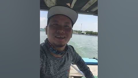 Câu cá bè Long Sơn L8