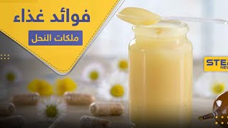 فوائد غذاء ملكات النحل و كيفية استخراجه