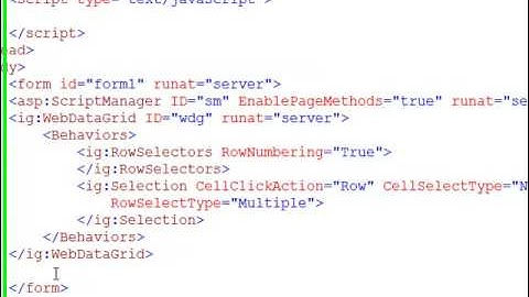 WebDataGrid Client Row Selection - Part 1