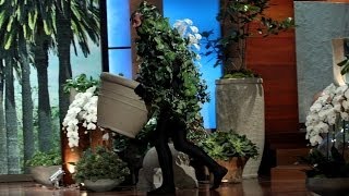 Making Cuts During The Drought