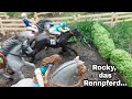 Die traurige Geschichte eines Rennpferdes namens Rocky💖|Schleich