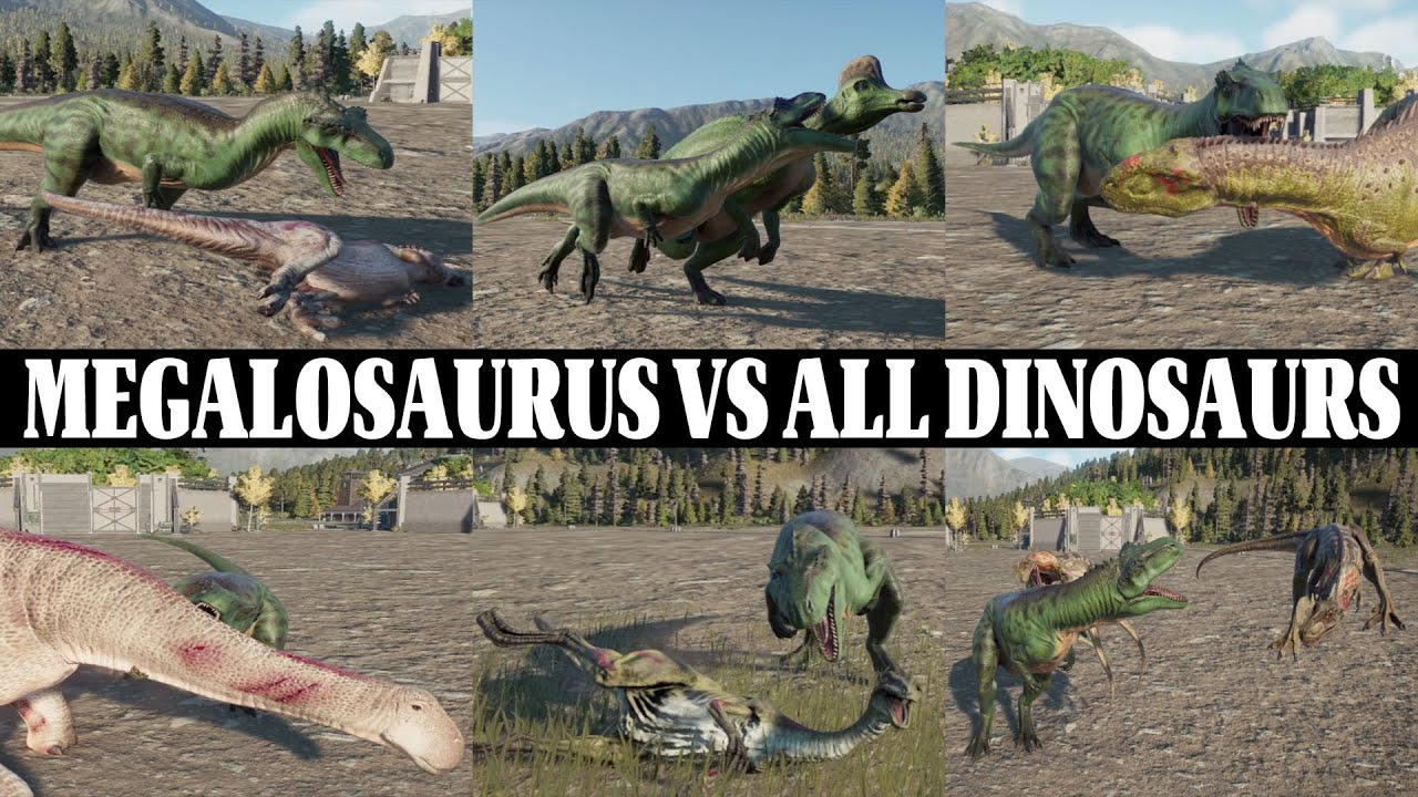 MEGALOSAURUS VS ALL DINOSAURS | JURASSIC WORLD EVOLUTION 2