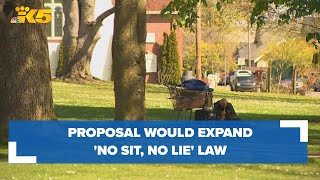 Proposed ordinance would expand Everett's controversial 'no sit, no lie' law