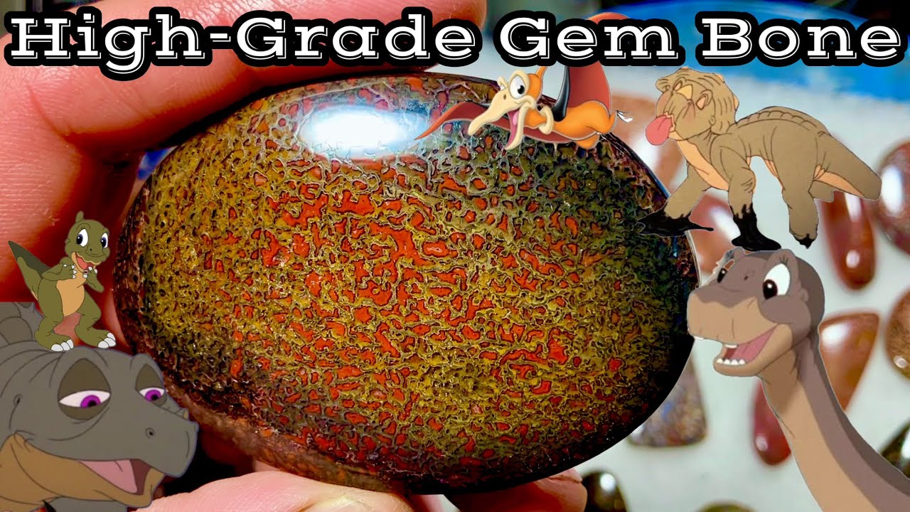 HIGH-GRADE DINOSAUR GEM BONE - Looking at & cutting pieces from a amazing collection