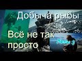 КАК ЛОВЯТ РЫБУ В ЧЁРНОМ МОРЕ?  ДАЙВЕРЫ ПОМОГАЮТ РЫБАКАМ. ДАЙВИНГ В КРЫМУ.