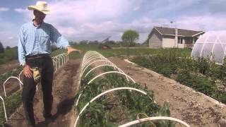 Return to Geo-Thermal greenhouse part 3