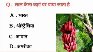 prince gk study class ll GK in Hindi ll GK Questions ll GK Questions and answer ll GK Quiz ll GK GS