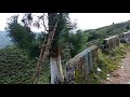 Gopaldhara Tea Garden, Darjeeling