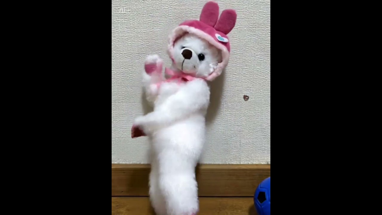 ふわもこ白くまのダンスレッスン♩¨̮:｜Fluffy Bear Dance Time