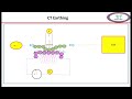 Why is a current transformer secondary is always connected to earthing