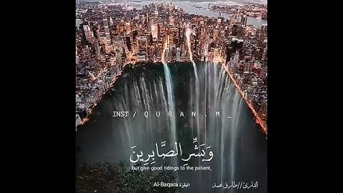 وبشر الصابري حالات واتس اب قران 💜القارئ طارق محمد 💙حالات واتس اب دينية _ تلاوة تريح القلب