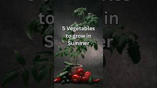 5 Easy Vegetables to Grow in Summer 🌿☀️ #plants #veggies