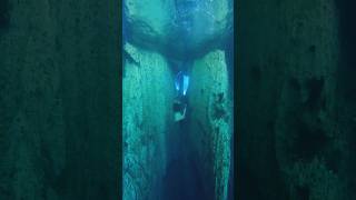 Freedove in Barracuda Lake, Coron, Palawan #norwaykenjesus #freediveph