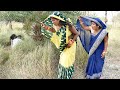 Watch carefully bhojpuri funny comedy 2022