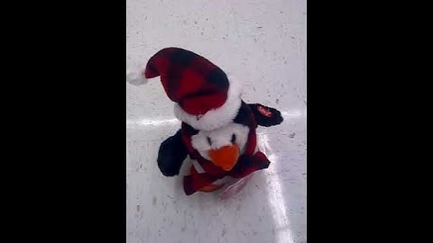 Dan Dee Chicken Dance Penguin