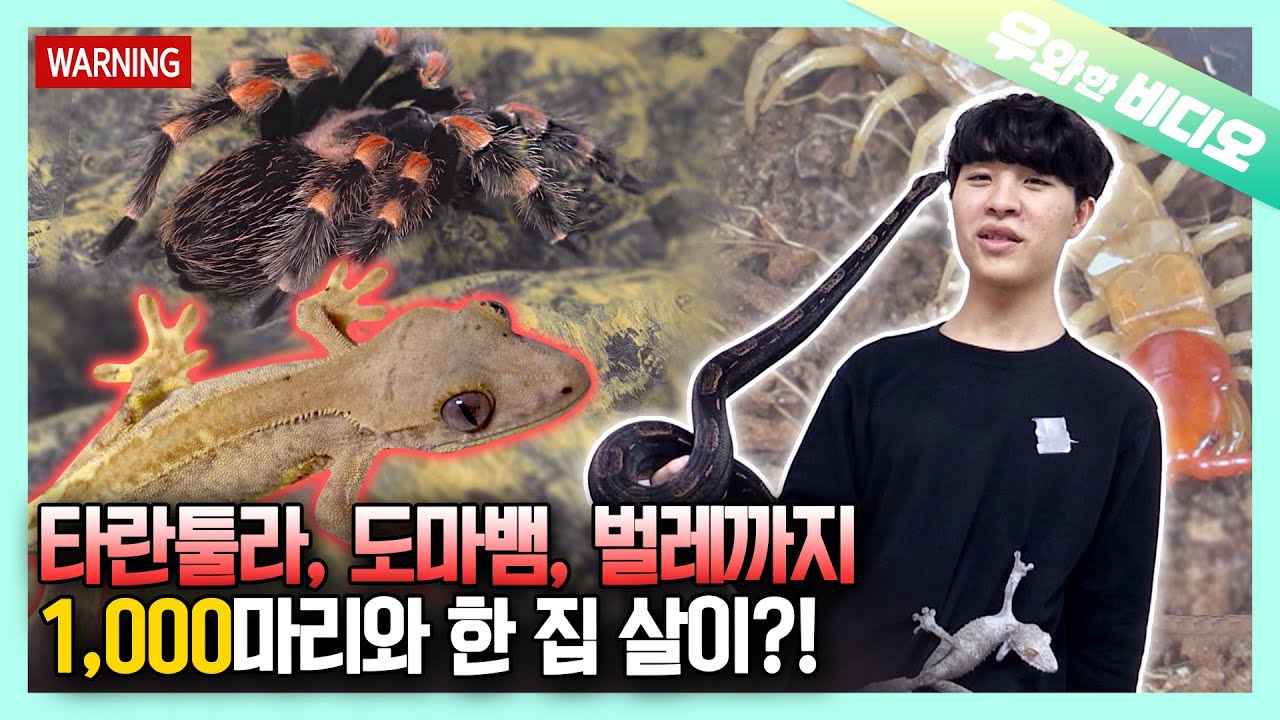 Особый тип домашнего животного