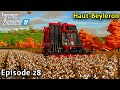 Farming Simulator 22 Timelapse - Haut-Beyleron Seasons Yr 3 Ep 28 COTTON HARVEST CONTRACT