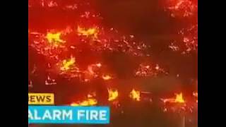 Amazon warehouse fire 🔥