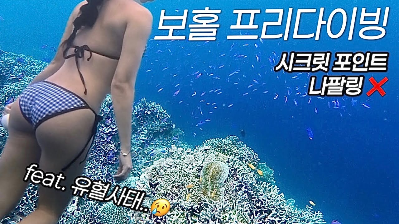 술먹다 급 떠나게된 보홀 프리다이빙 여행 | bohol freediving | bohol vlog travel