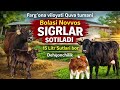 🐂RAʼMAZON AKSIYASI BOLASI NOVVOS 🐂SIGRLAR SOTILMOQDA💸💸 14.03.2026