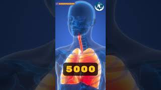 অঙ্গদানে কোথায় দাঁড়িয়ে ভারত? | Dr. Arpan Chakraborty | Critical Care &amp; ECMO Physician