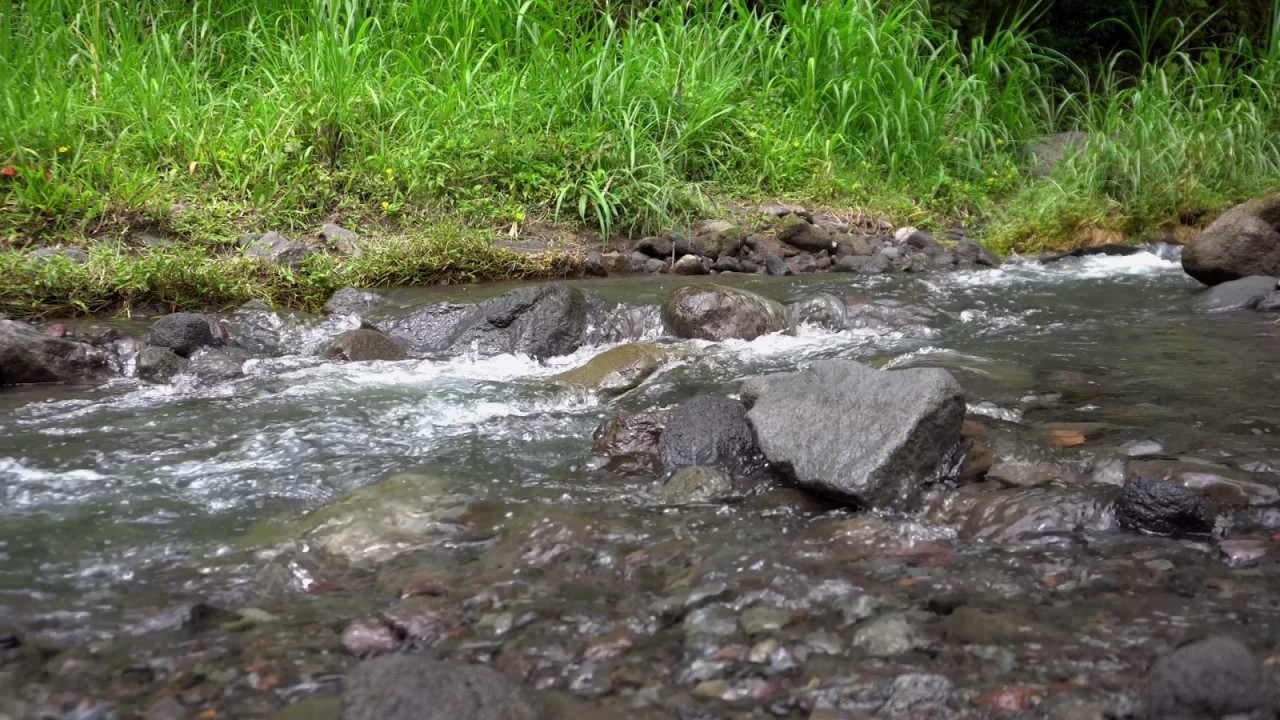 1 Hour of Calm Flowing River Sounds for Deep Sleeping, Relaxation, Work, Study